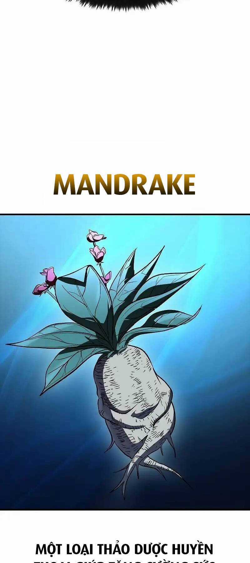 Chiến Binh Thôn Phệ Xác Chết Chapter 29 trang 65