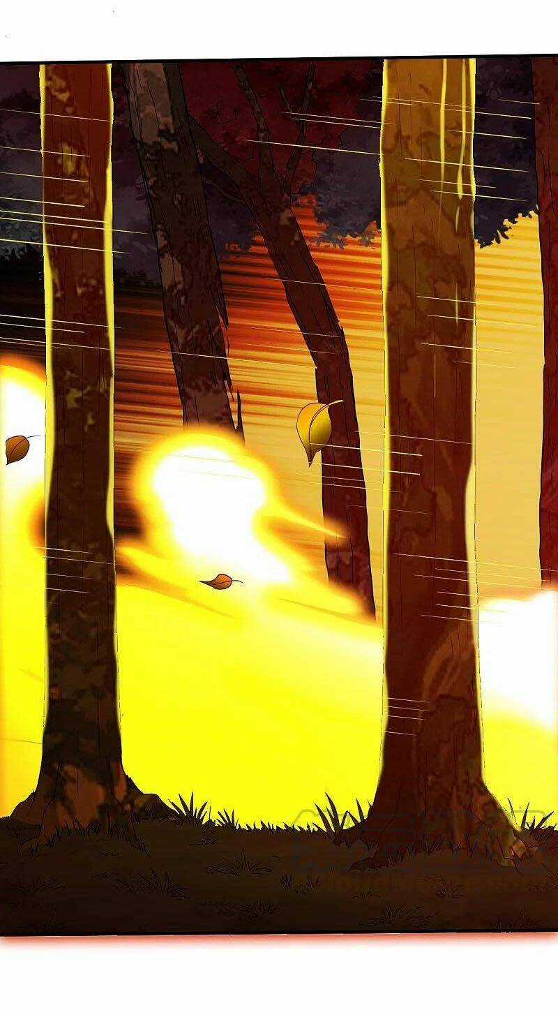 Chiến Đỉnh Chapter 308 trang 13