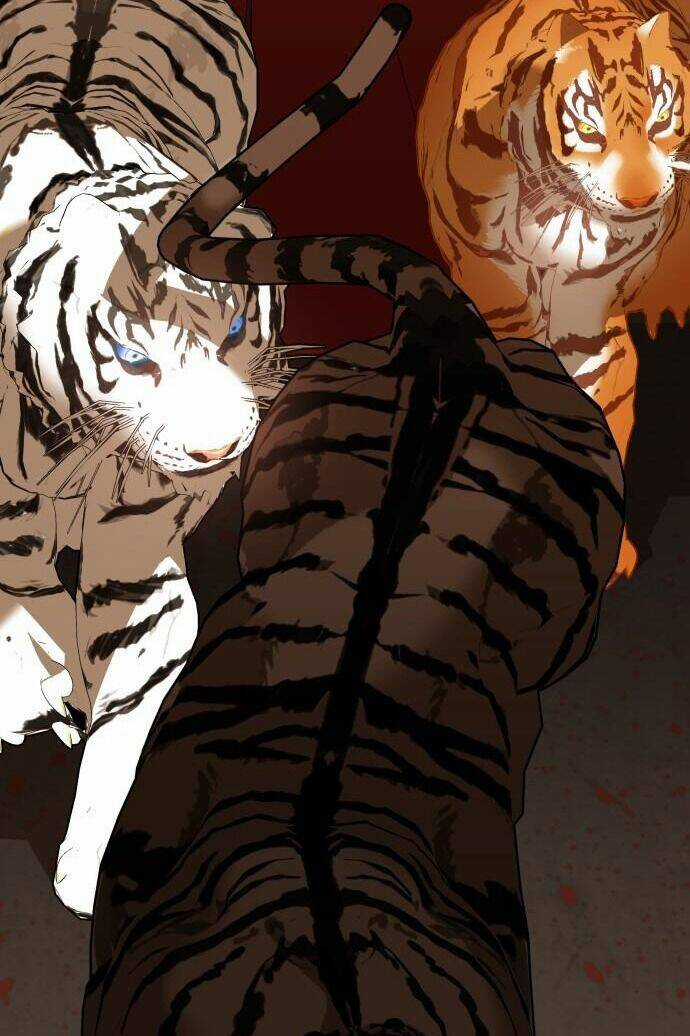 Chiến Lược Săn Hổ Của Nữ Thần Chapter 2 trang 17