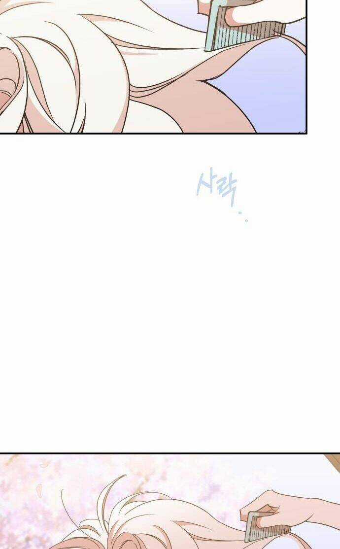 Chiến Lược Săn Hổ Của Nữ Thần Chapter 24 trang 10