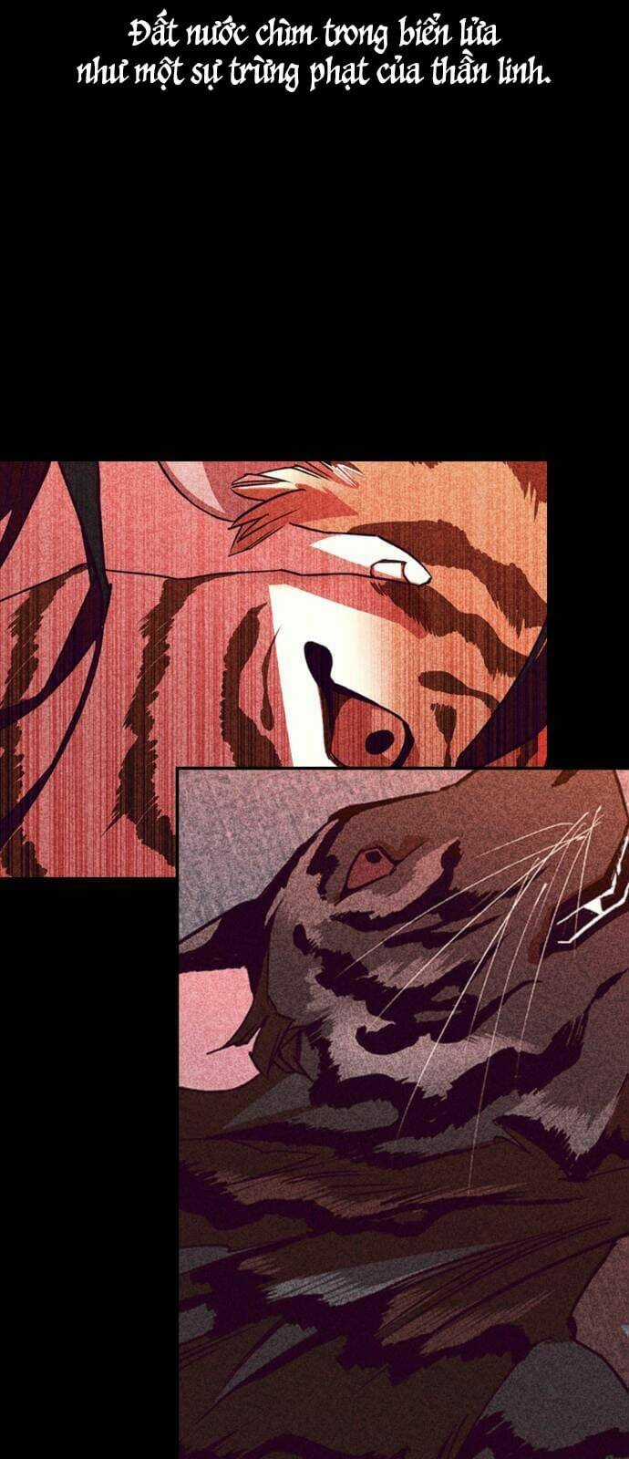 Chiến Lược Săn Hổ Của Nữ Thần Chapter 43 trang 13