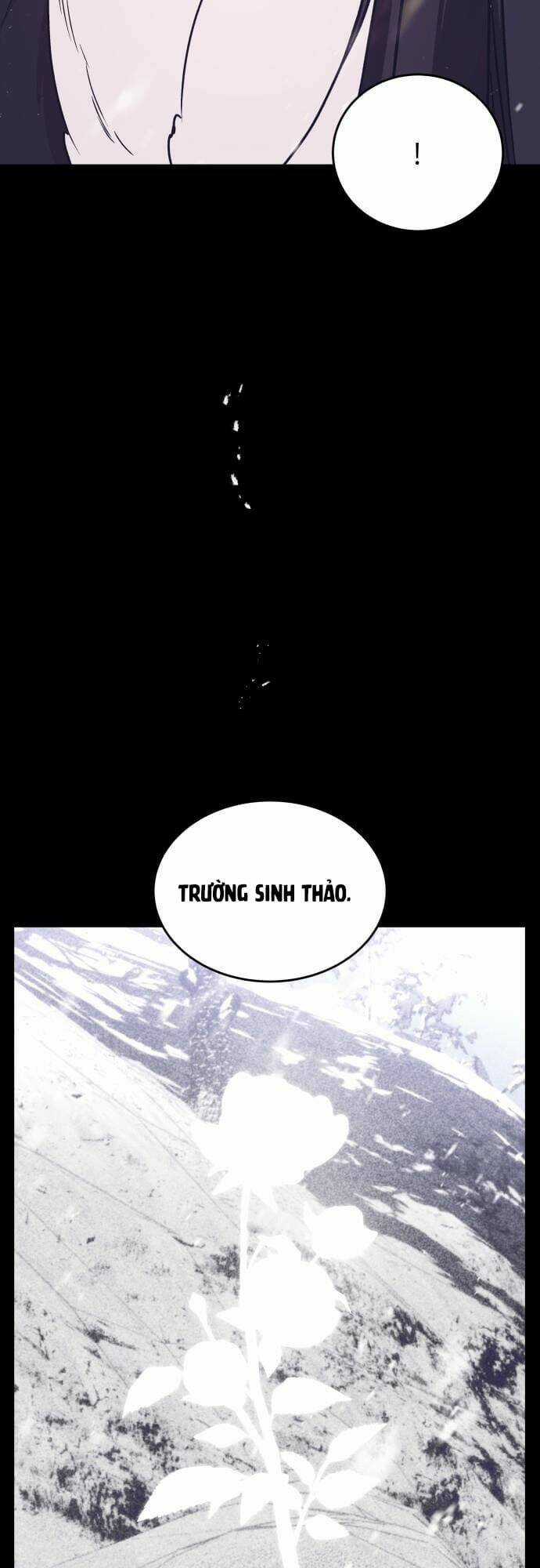 Chiến Lược Săn Hổ Của Nữ Thần Chapter 52 trang 35