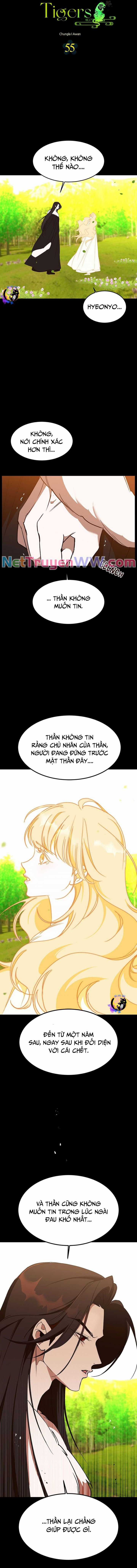 Chiến Lược Săn Hổ Của Nữ Thần Chapter 55 trang 8