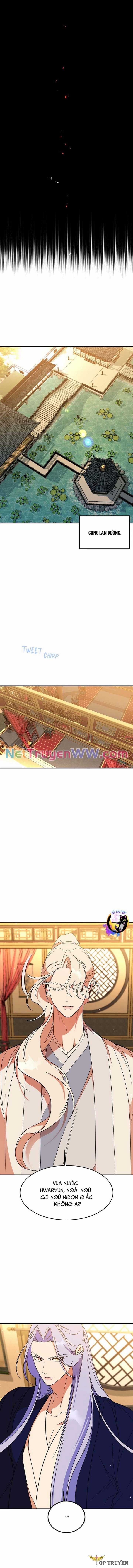 Chiến Lược Săn Hổ Của Nữ Thần Chapter 58 trang 5