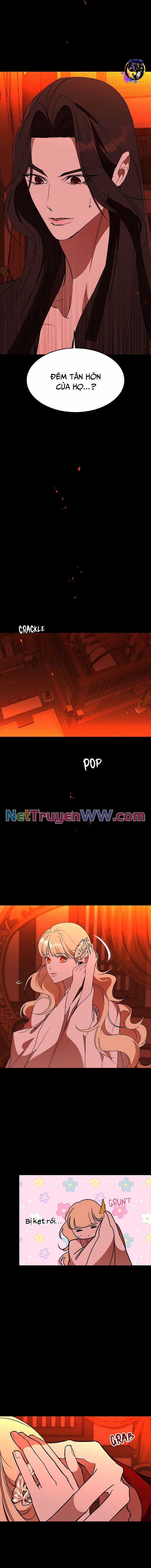 Chiến Lược Săn Hổ Của Nữ Thần Chapter 59 trang 13