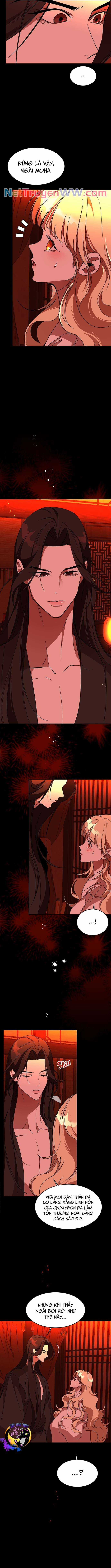 Chiến Lược Săn Hổ Của Nữ Thần Chapter 61 trang 7