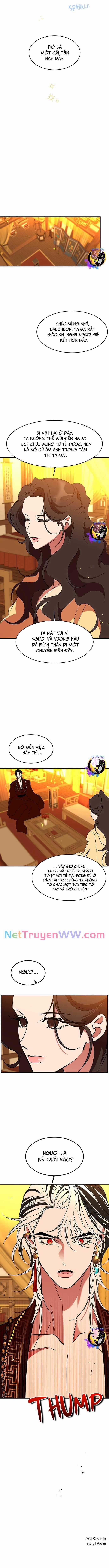 Chiến Lược Săn Hổ Của Nữ Thần Chapter 62 trang 16