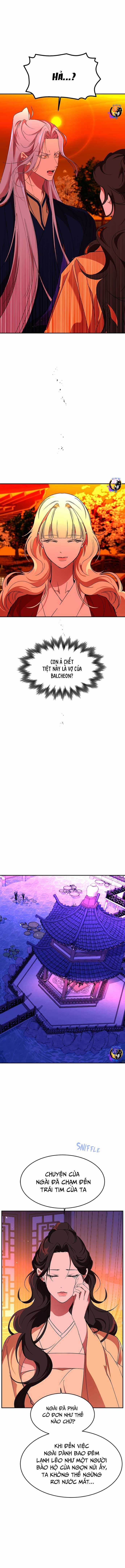 Chiến Lược Săn Hổ Của Nữ Thần Chapter 64 trang 7