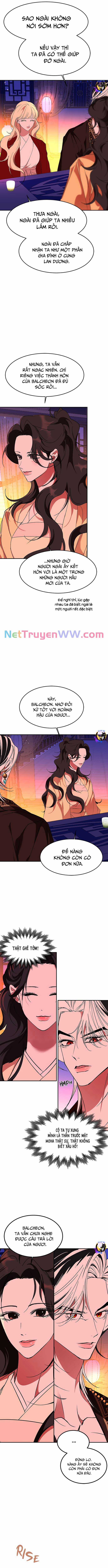 Chiến Lược Săn Hổ Của Nữ Thần Chapter 64 trang 8