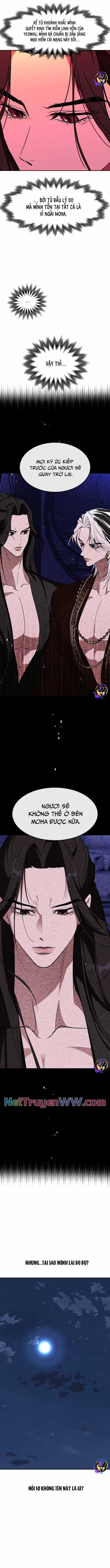 Chiến Lược Săn Hổ Của Nữ Thần Chapter 65 trang 14