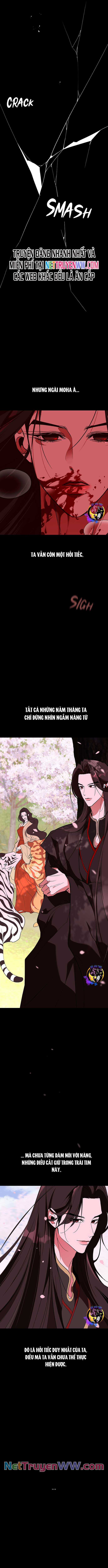 Chiến Lược Săn Hổ Của Nữ Thần Chapter 67 trang 12