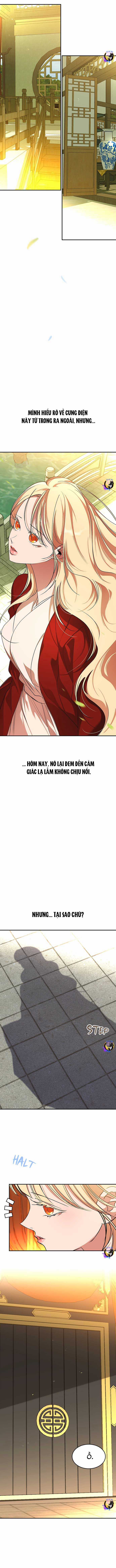 Chiến Lược Săn Hổ Của Nữ Thần Chapter 67 trang 2