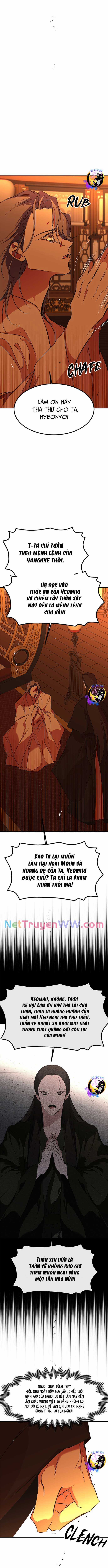 Chiến Lược Săn Hổ Của Nữ Thần Chapter 68 trang 11