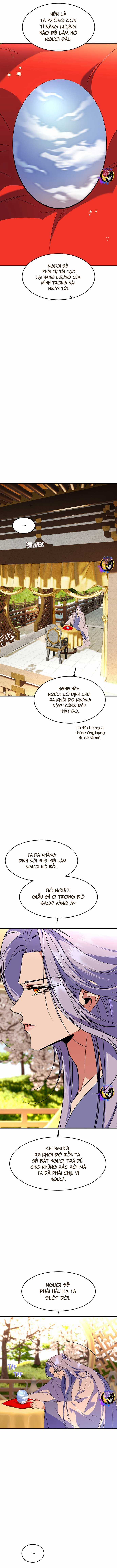 Chiến Lược Săn Hổ Của Nữ Thần Chapter 77 trang 11