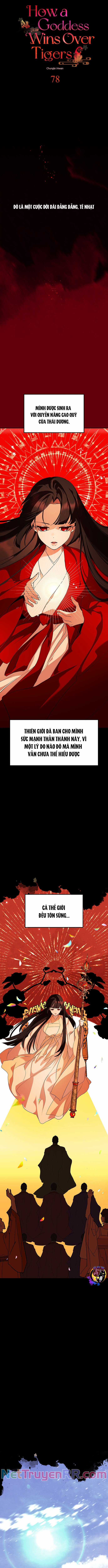 Chiến Lược Săn Hổ Của Nữ Thần Chapter 78 trang 2