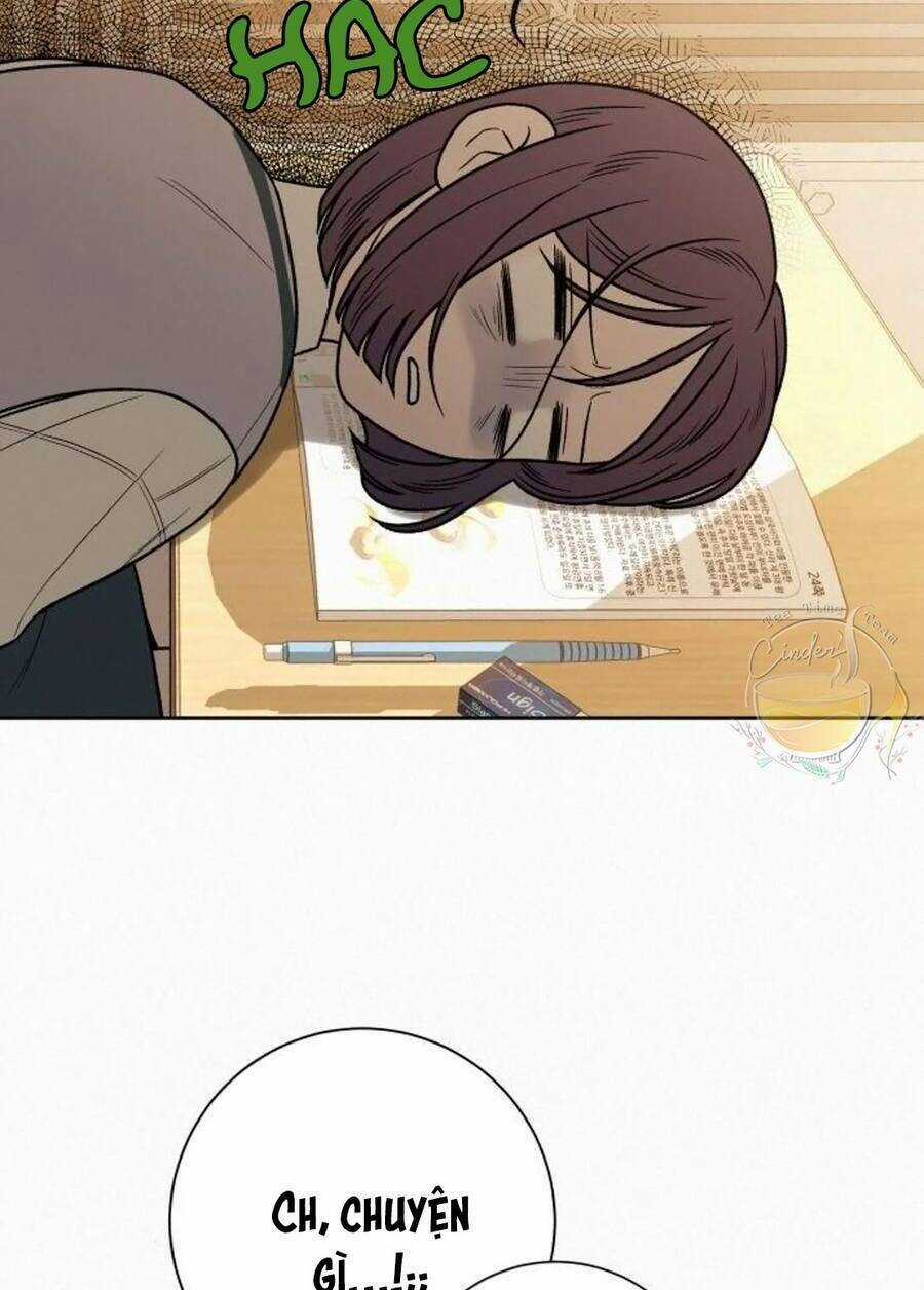 Chiến Lược: Tình Yêu Trong Sáng Chapter 40 trang 30