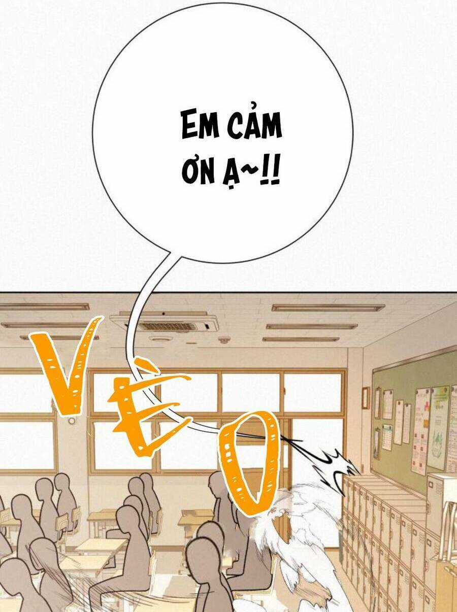 Chiến Lược: Tình Yêu Trong Sáng Chapter 45 trang 15