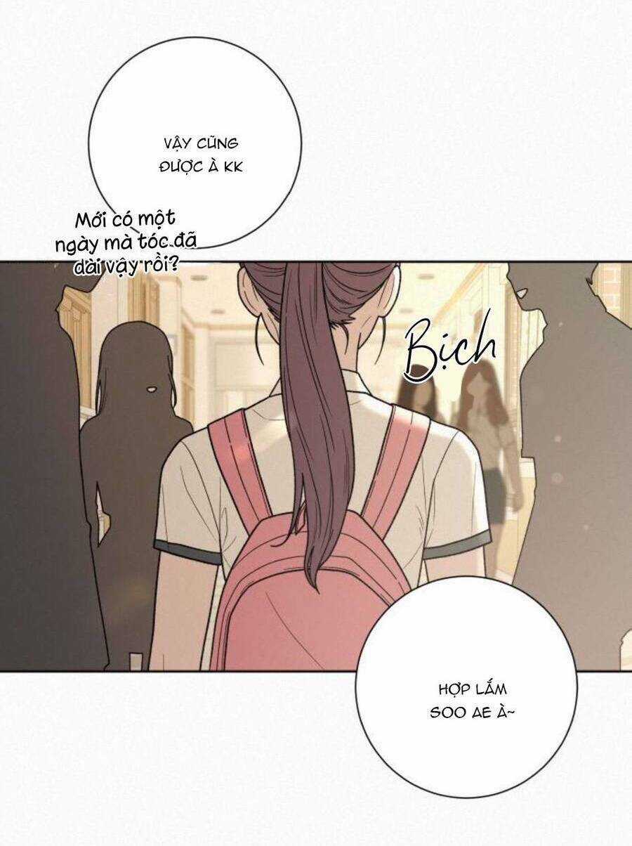 Chiến Lược: Tình Yêu Trong Sáng Chapter 50 trang 25