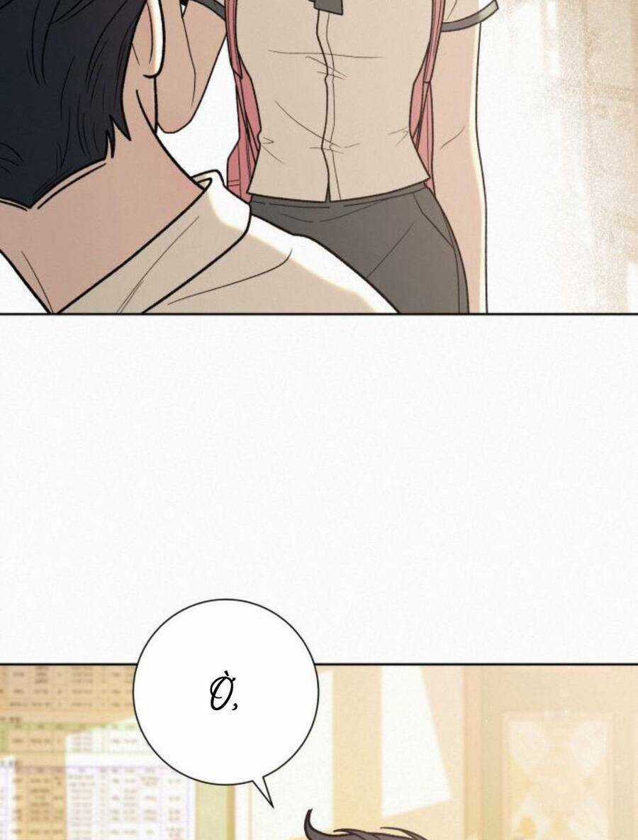 Chiến Lược: Tình Yêu Trong Sáng Chapter 50 trang 41