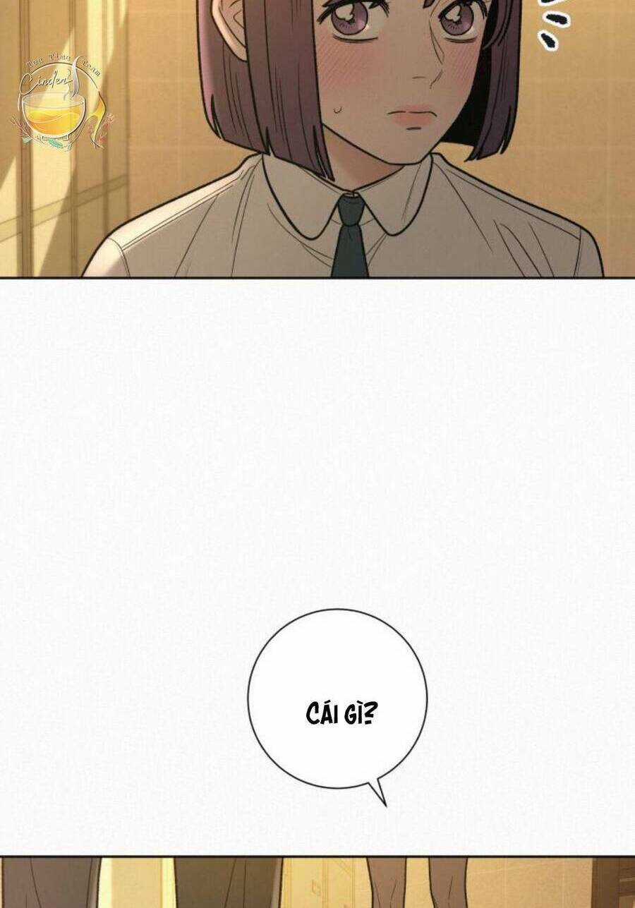 Chiến Lược: Tình Yêu Trong Sáng Chapter 53 trang 13