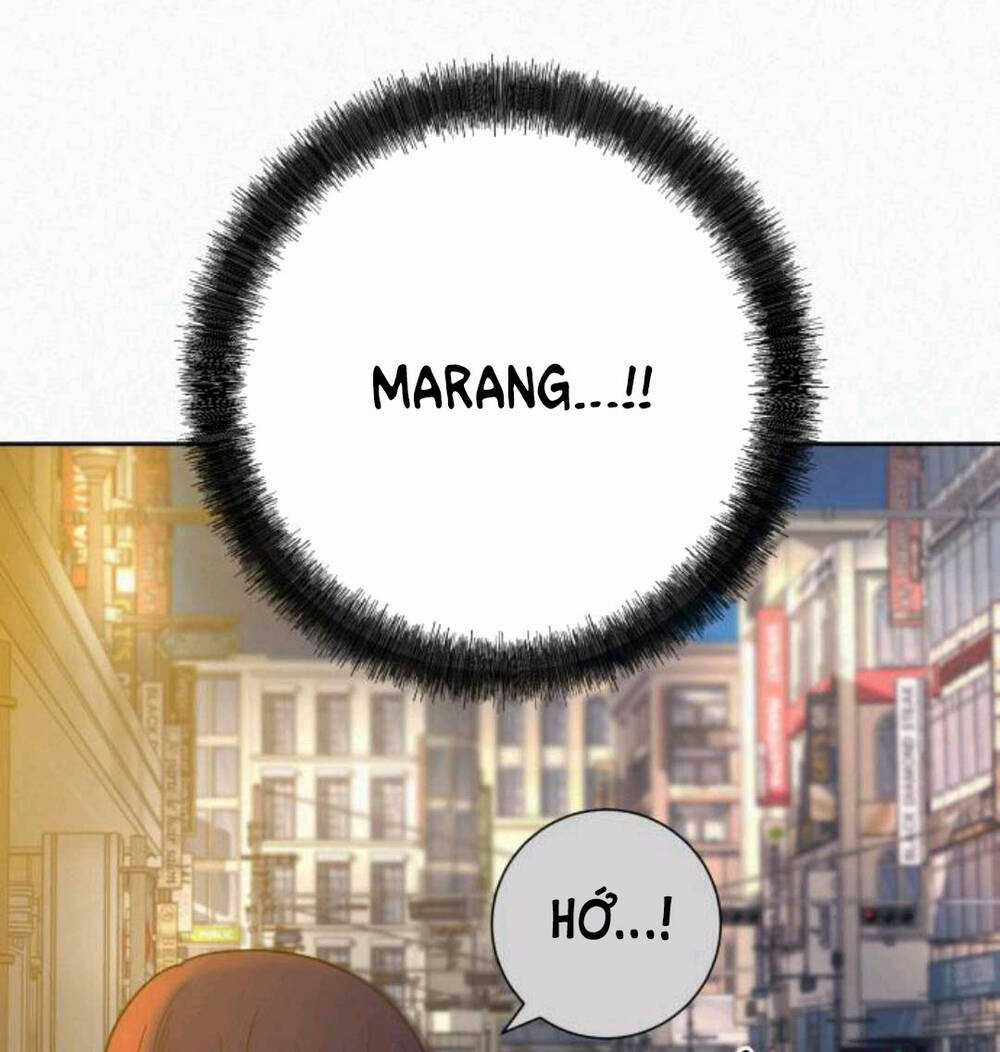 Chiến Lược: Tình Yêu Trong Sáng Chapter 63 trang 12