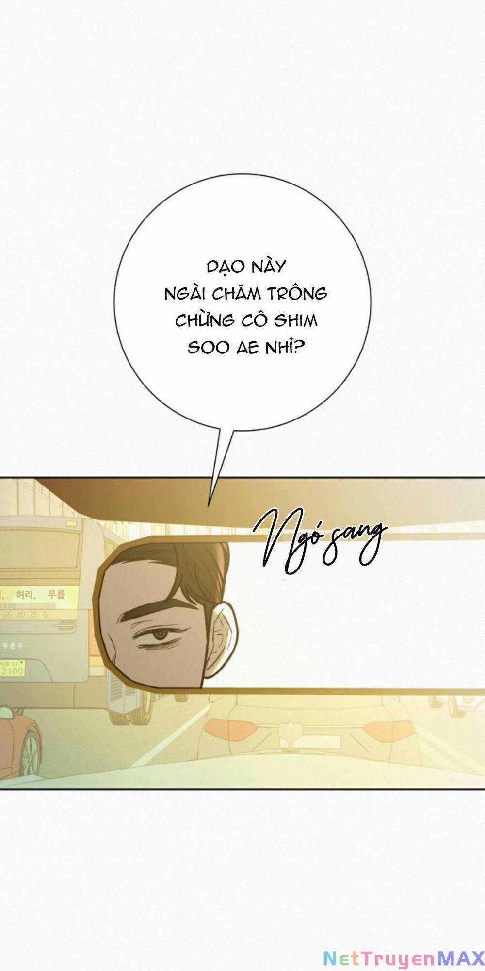 Chiến Lược: Tình Yêu Trong Sáng Chapter 65 trang 101