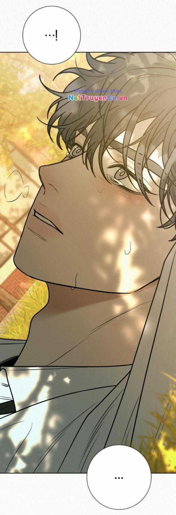 Chiến Lược: Tình Yêu Trong Sáng Chapter 82.1 trang 5