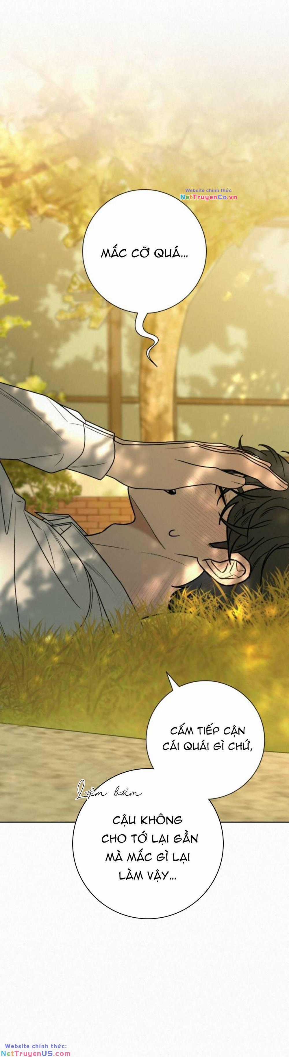 Chiến Lược: Tình Yêu Trong Sáng Chapter 82 trang 15