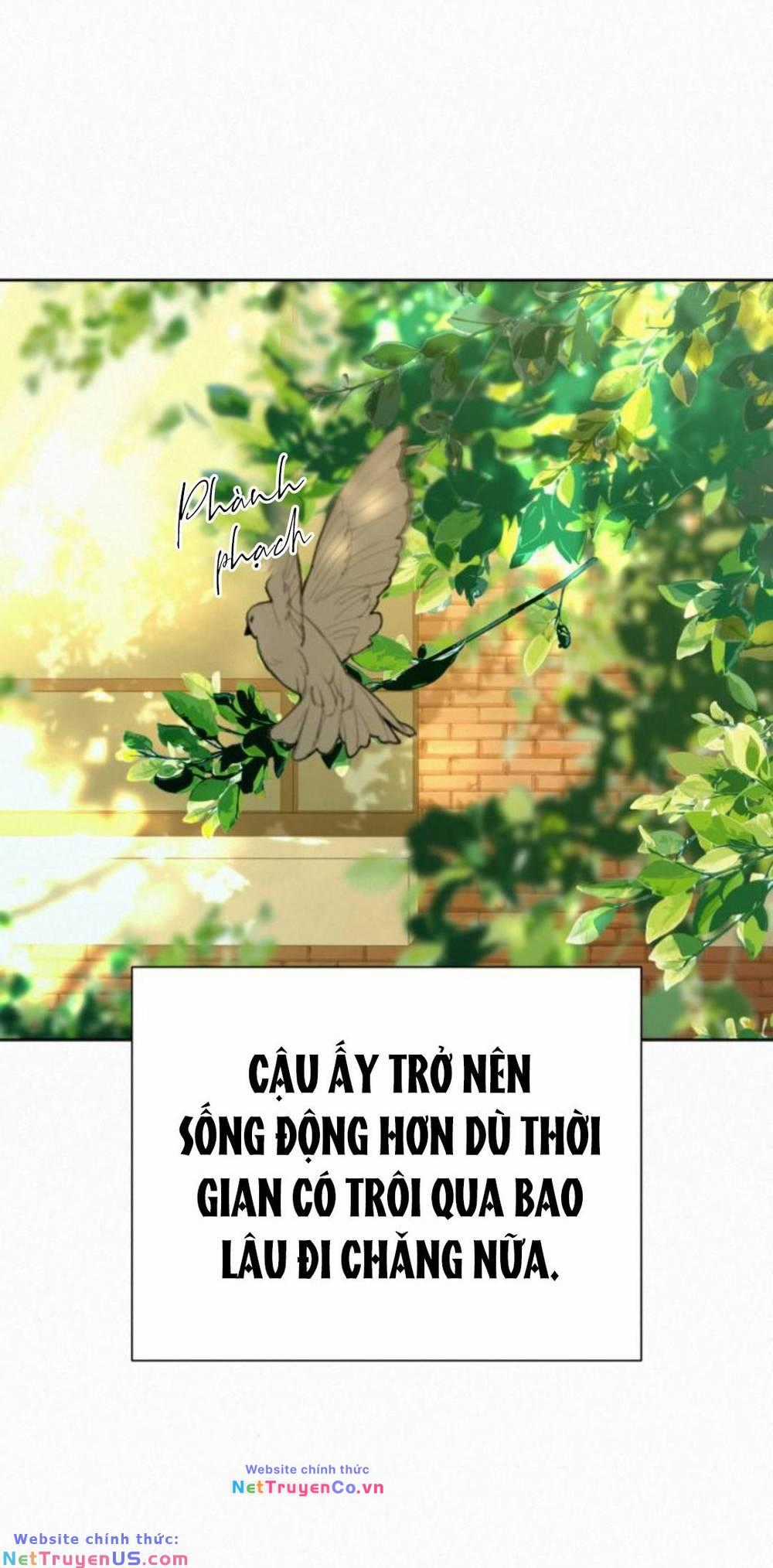 Chiến Lược: Tình Yêu Trong Sáng Chapter 82 trang 47