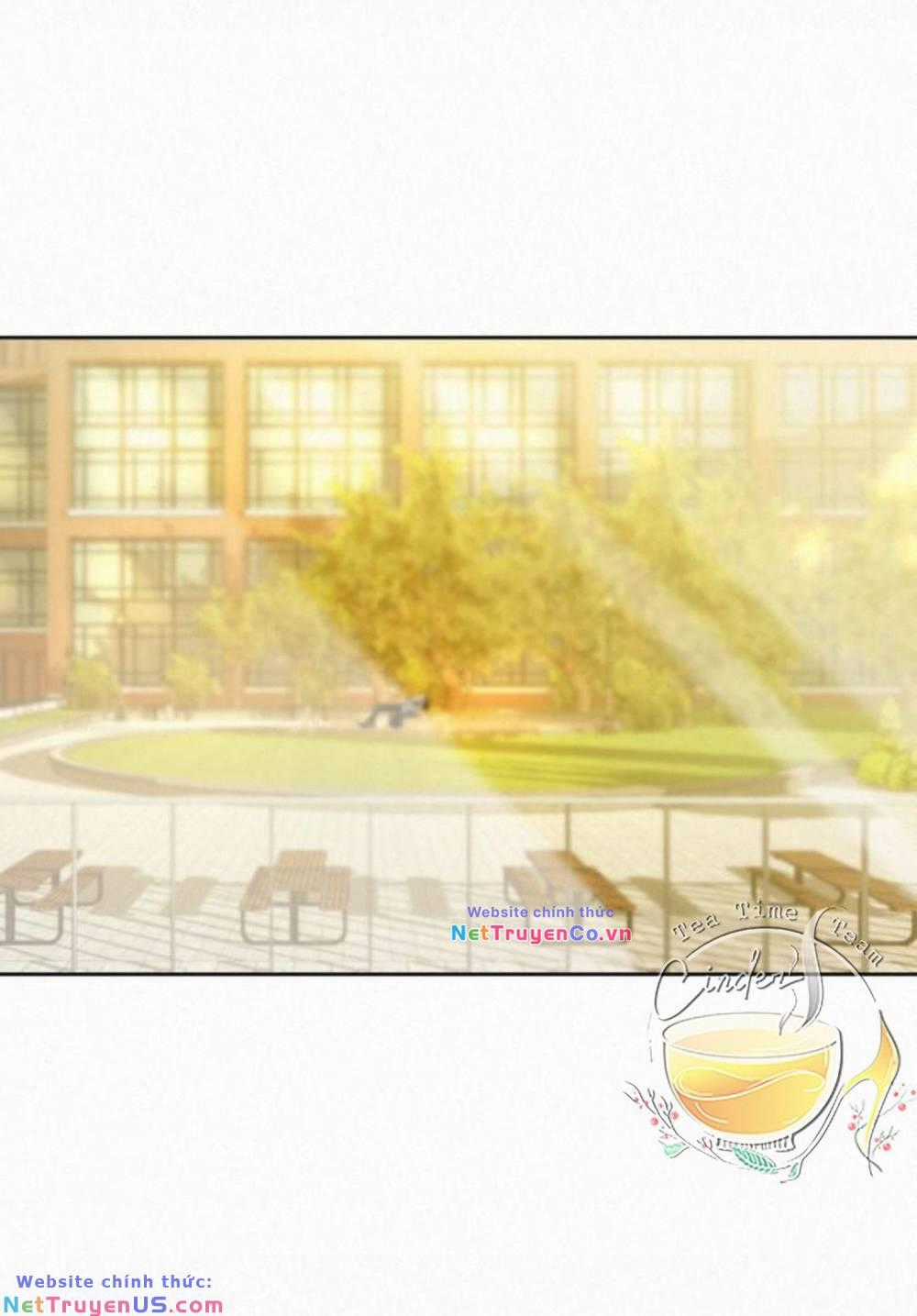 Chiến Lược: Tình Yêu Trong Sáng Chapter 82 trang 57