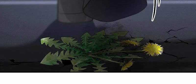 Chiến Thần Xuất Thế Chapter 1 trang 17