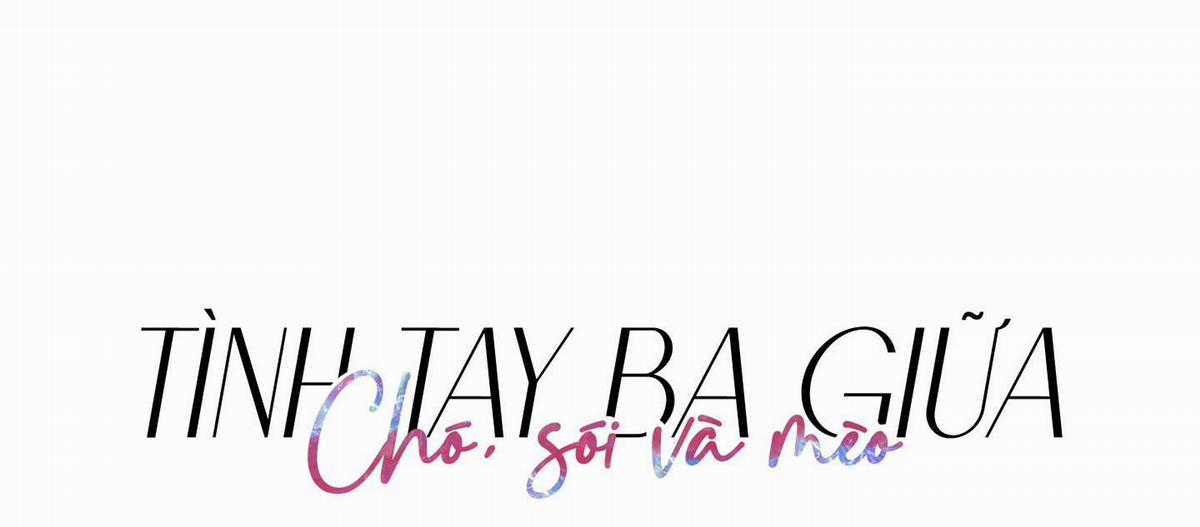 Chiết Ánh Trăng – Gấp Trăng Chapter 12 trang 11