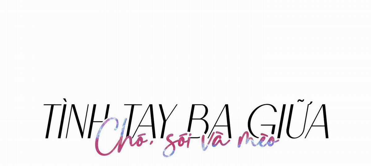 Chiết Ánh Trăng – Gấp Trăng Chapter 14 trang 49