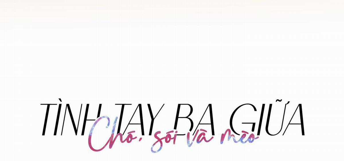 Chiết Ánh Trăng – Gấp Trăng Chapter 25 trang 12