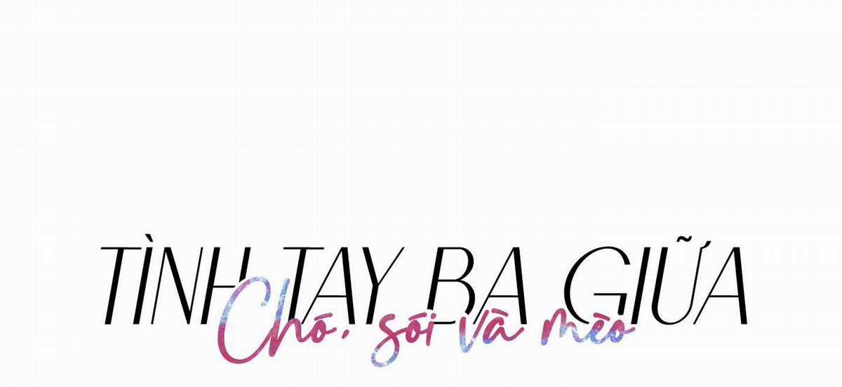 Chiết Ánh Trăng – Gấp Trăng Chapter 28 trang 2