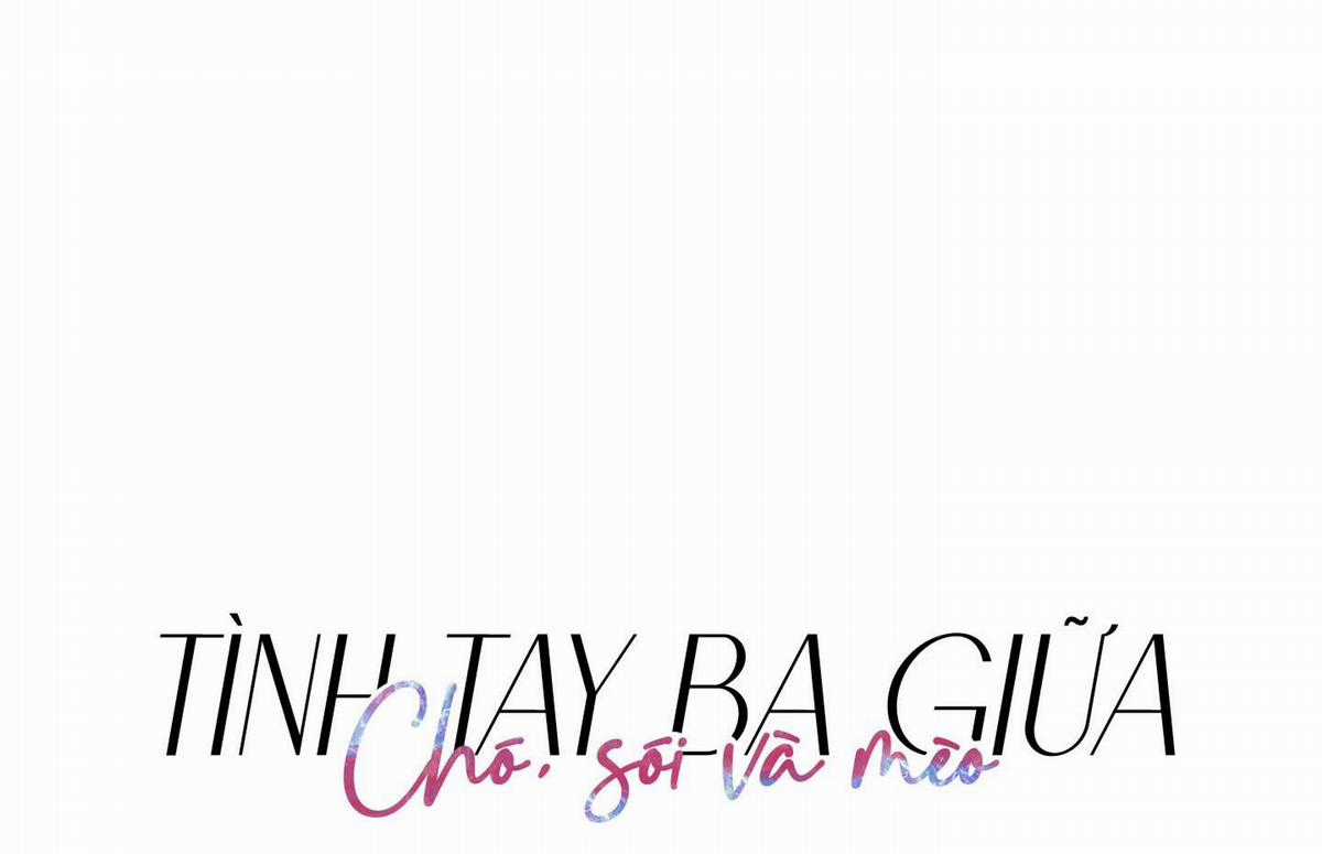 Chiết Ánh Trăng – Gấp Trăng Chapter 34 trang 5