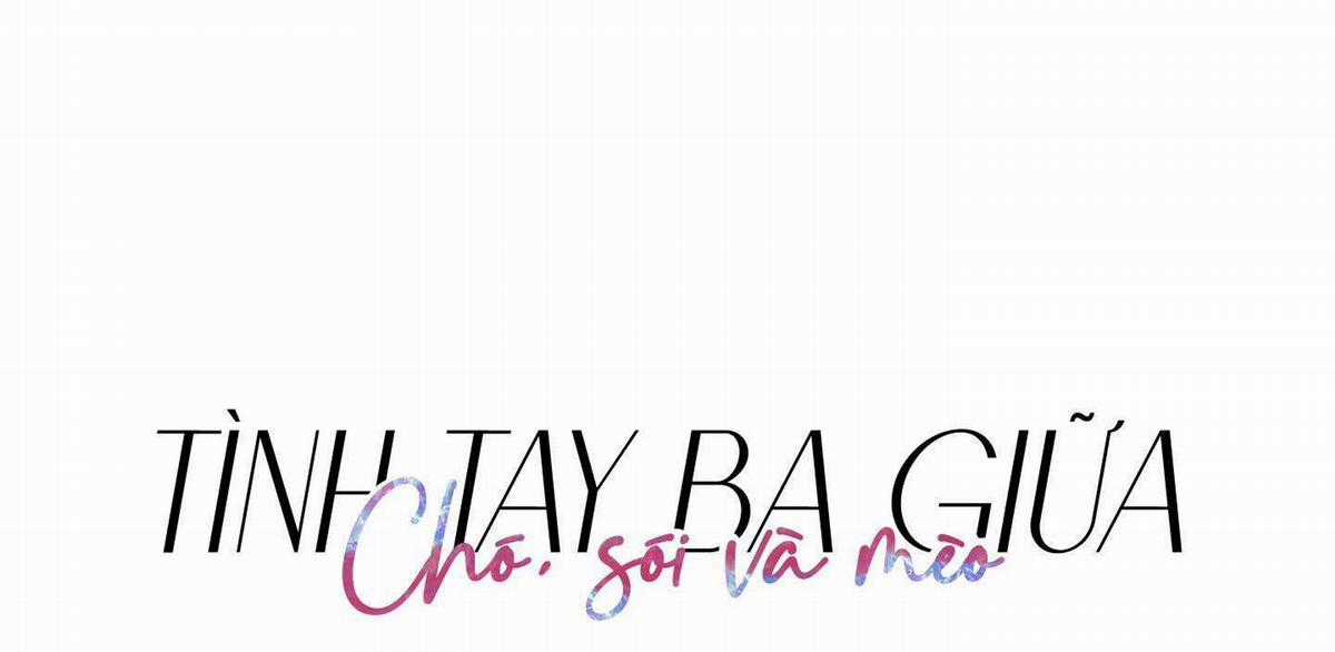 Chiết Ánh Trăng – Gấp Trăng Chapter 37 trang 3