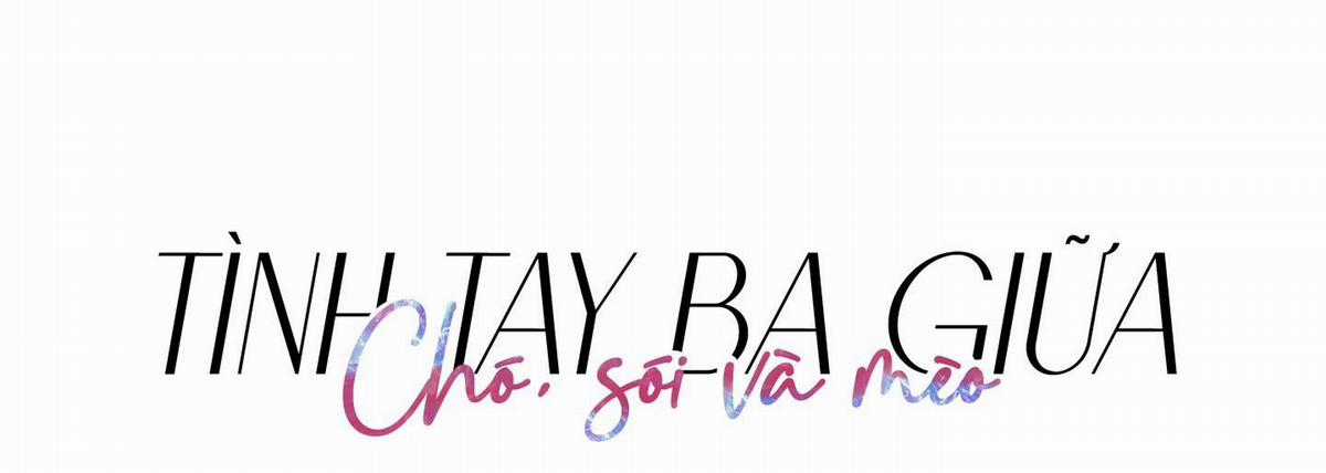 Chiết Ánh Trăng – Gấp Trăng Chapter 6 trang 13