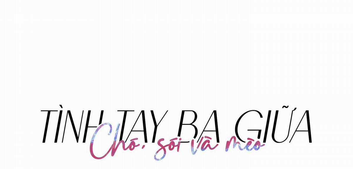 Chiết Ánh Trăng – Gấp Trăng Chapter 8 trang 20