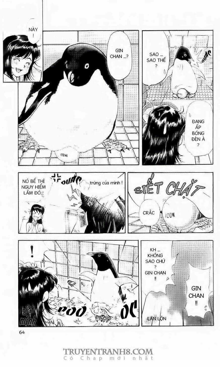 Chim Cánh Cụt Ginji Chapter 56 trang 6