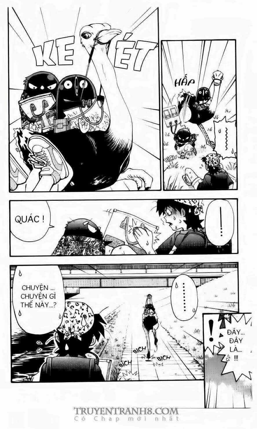 Chim Cánh Cụt Ginji Chapter 90 trang 19