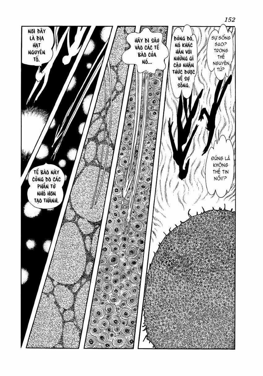 Chim Lửa Chapter 24 trang 16