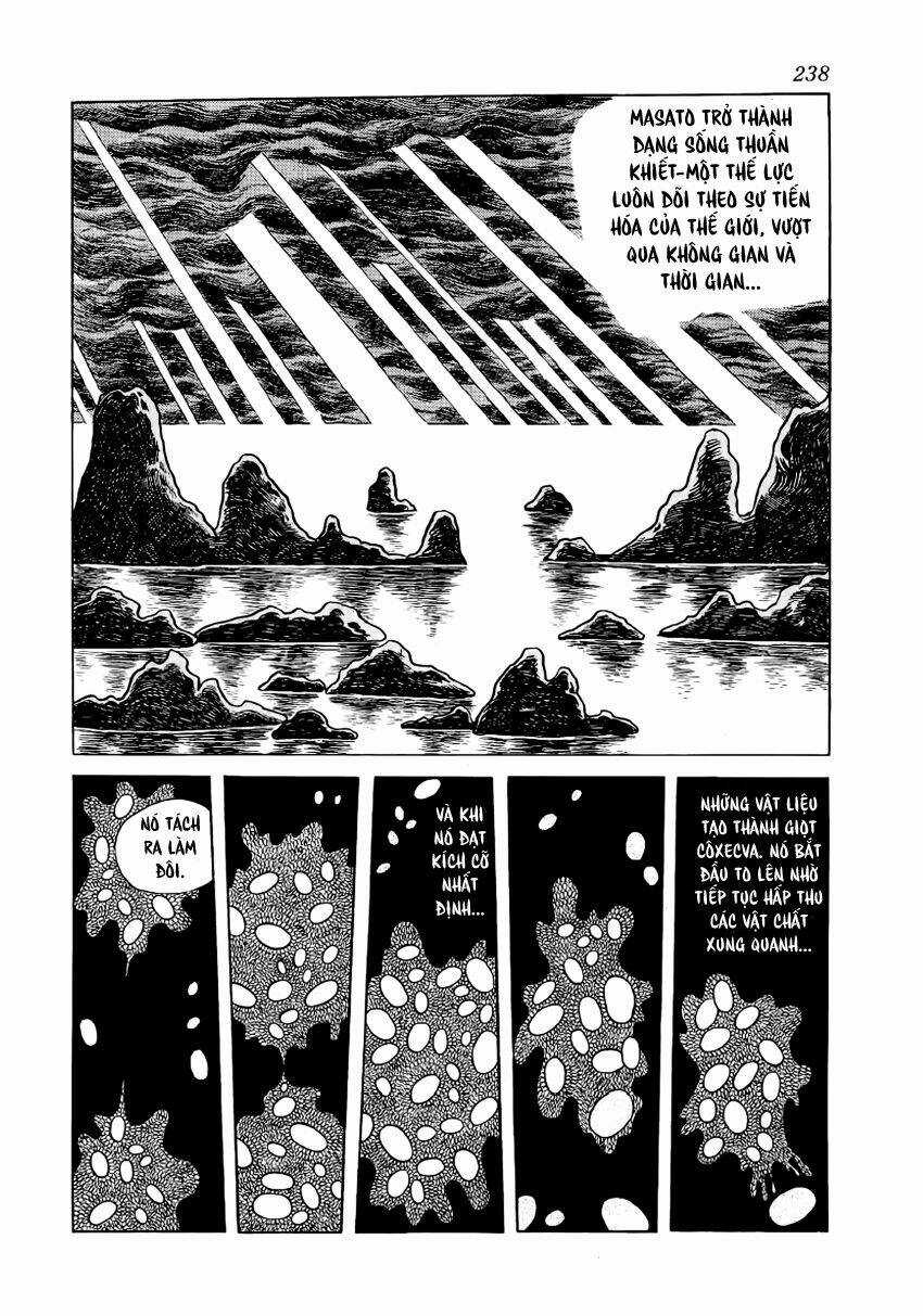 Chim Lửa Chapter 28 trang 10