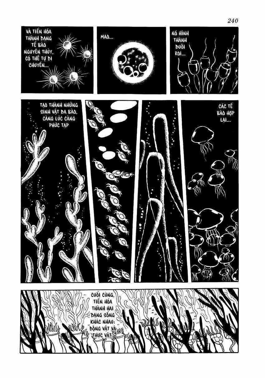 Chim Lửa Chapter 28 trang 12