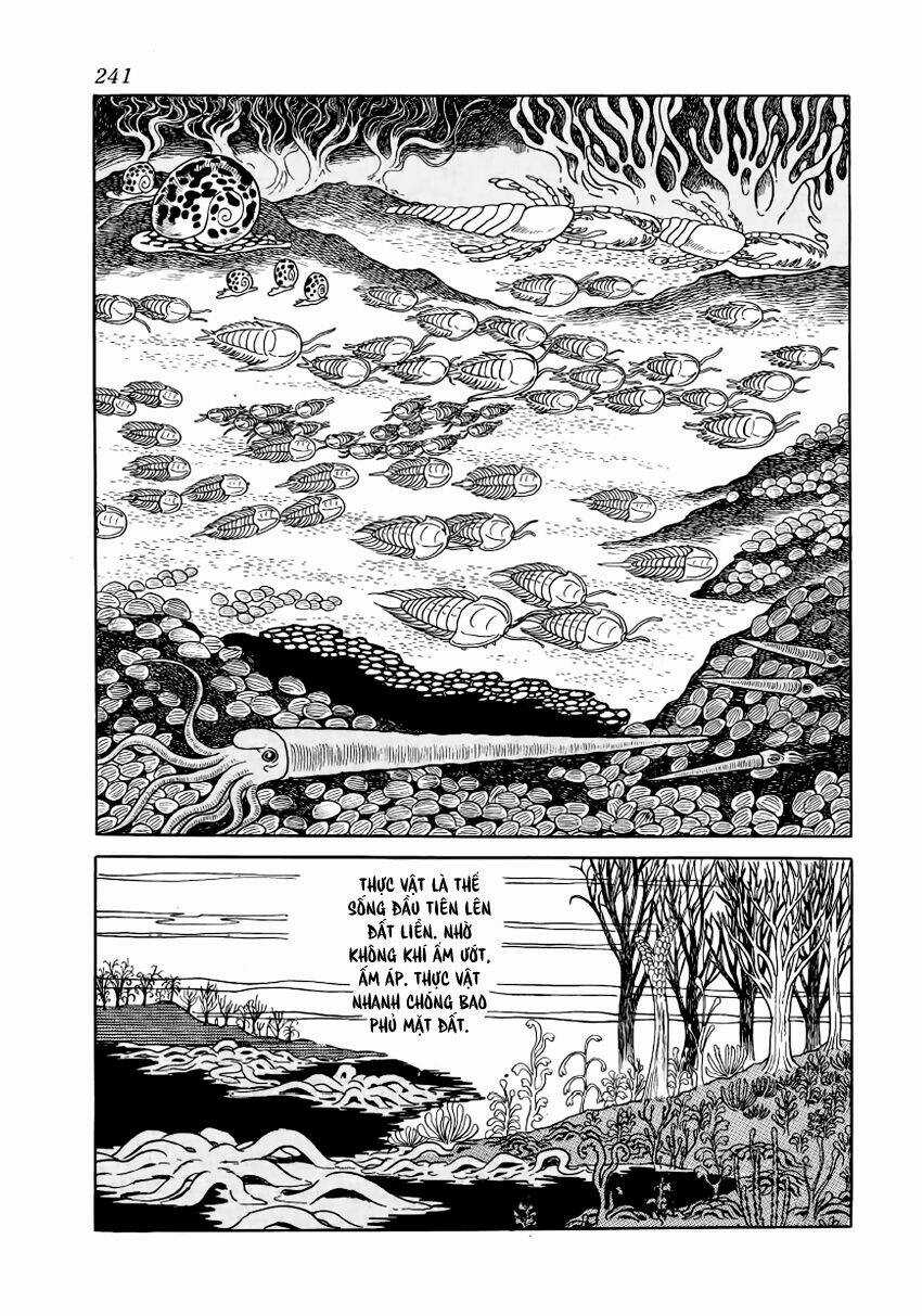 Chim Lửa Chapter 28 trang 13