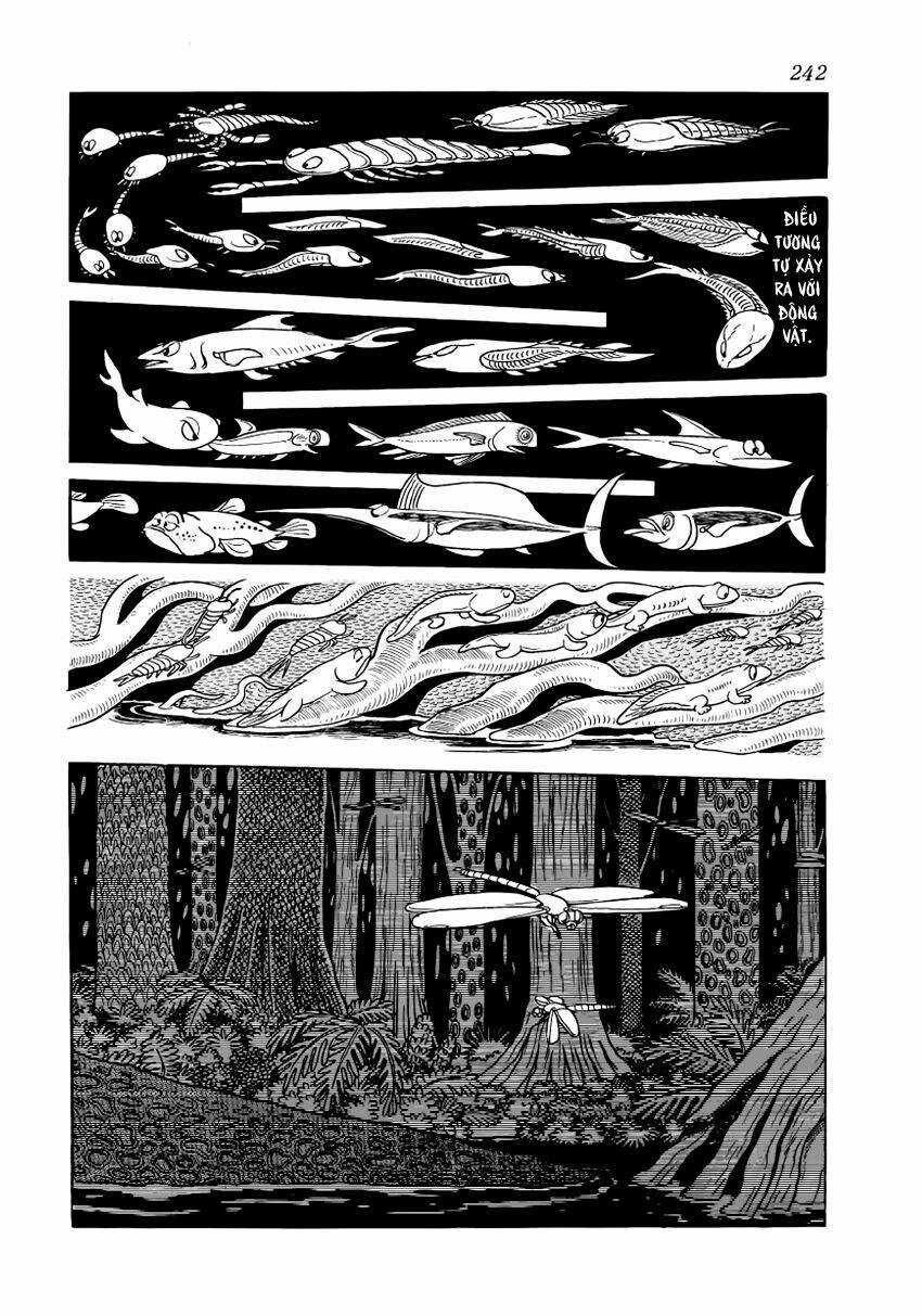 Chim Lửa Chapter 28 trang 14