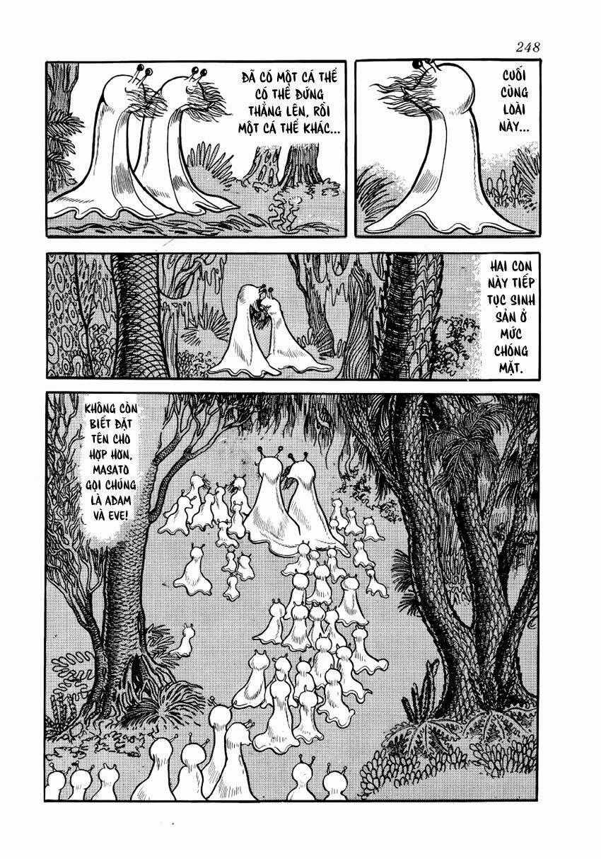 Chim Lửa Chapter 28 trang 20