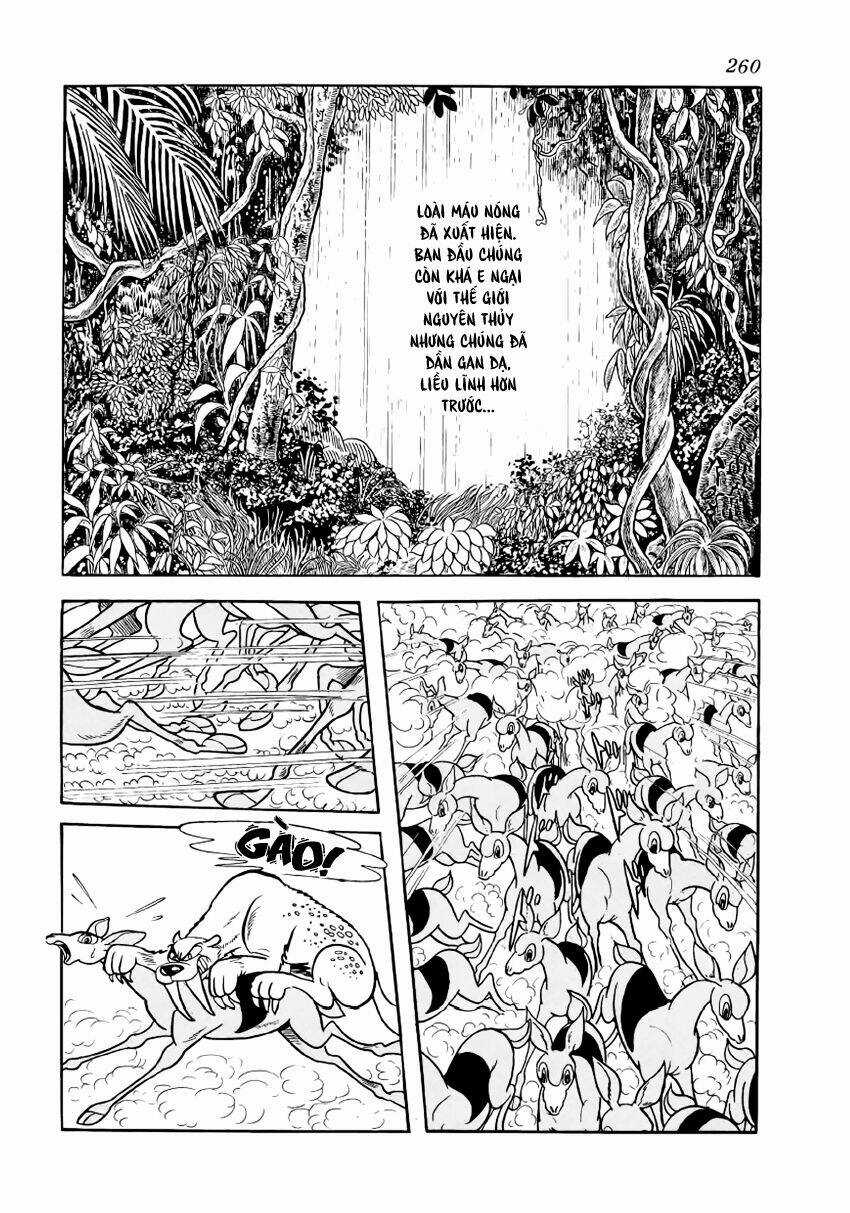 Chim Lửa Chapter 29 trang 12