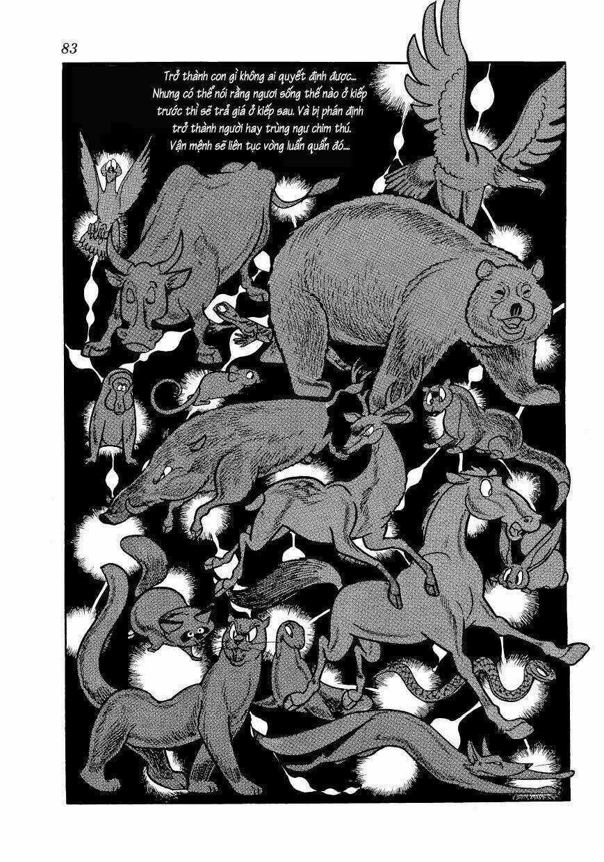 Chim Lửa Chapter 46 trang 10