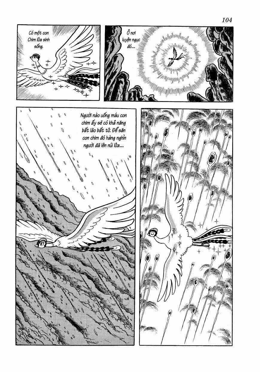 Chim Lửa Chapter 47 trang 11